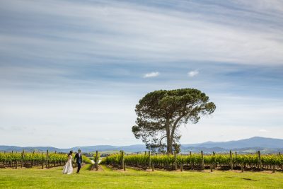 David & Kindy’s Wedding Photography | Stones of the Yarra Valley