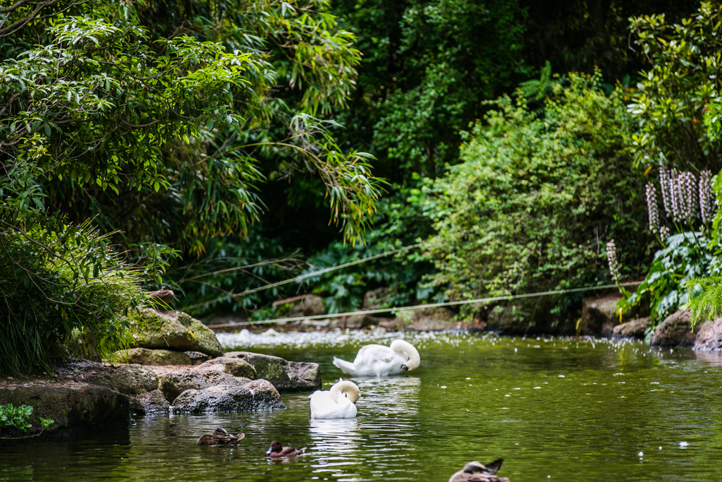 melbourne zoo wedding venue reception parkville melbourne